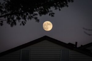 Read more about the article What Nobody Tells You About Getting Started with API Design Principles